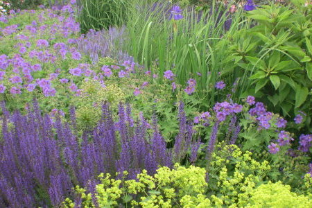 P_Symphonie-Blau-Lila-Gelb.jpg