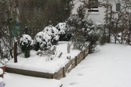 Reihenhausgarten-Winter-3.jpg
