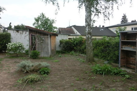 Stadtoase-Birke-Sauna-Bestand.jpg